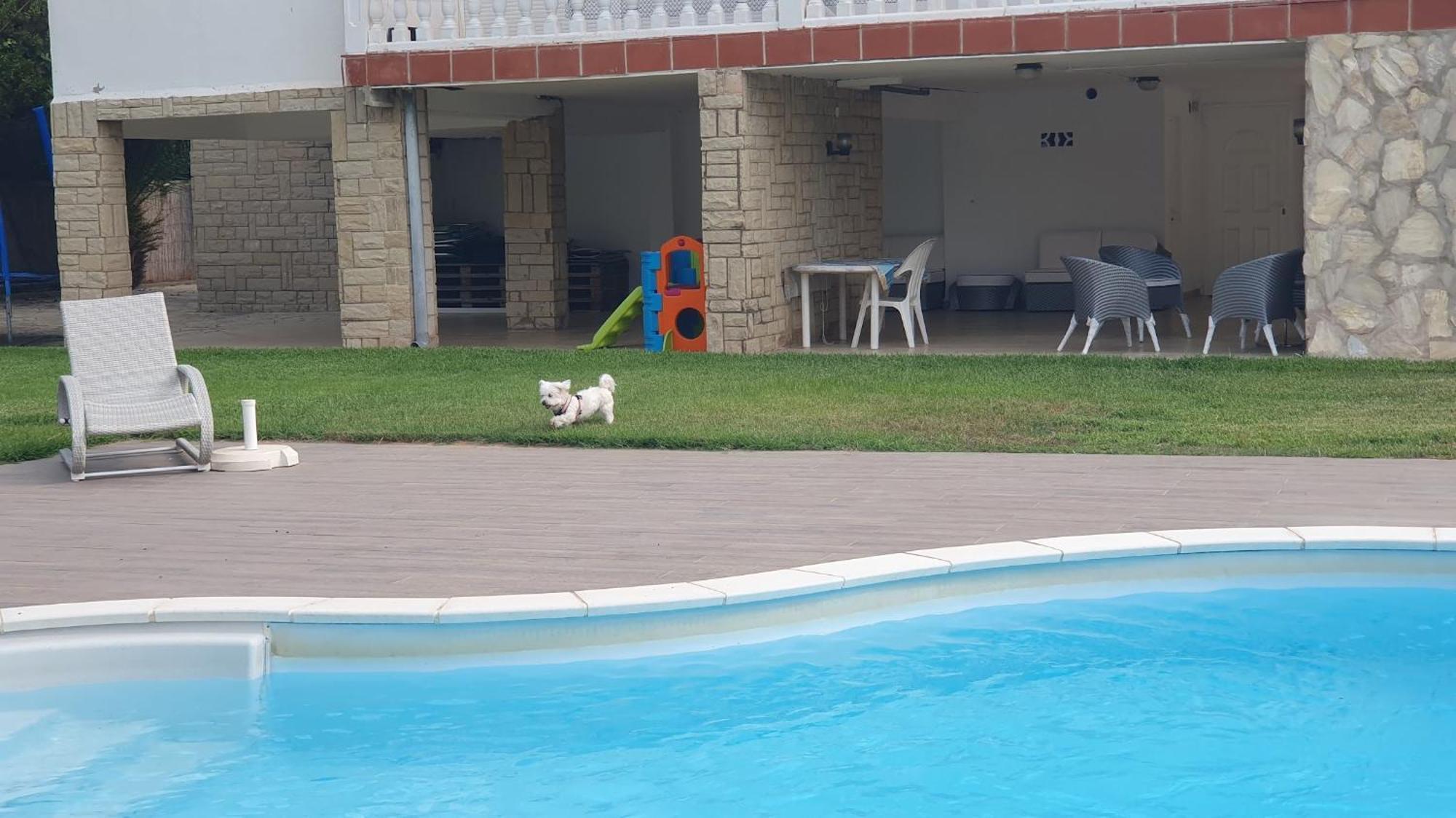 Villa Privada La Pedrereta Салоу Екстериор снимка